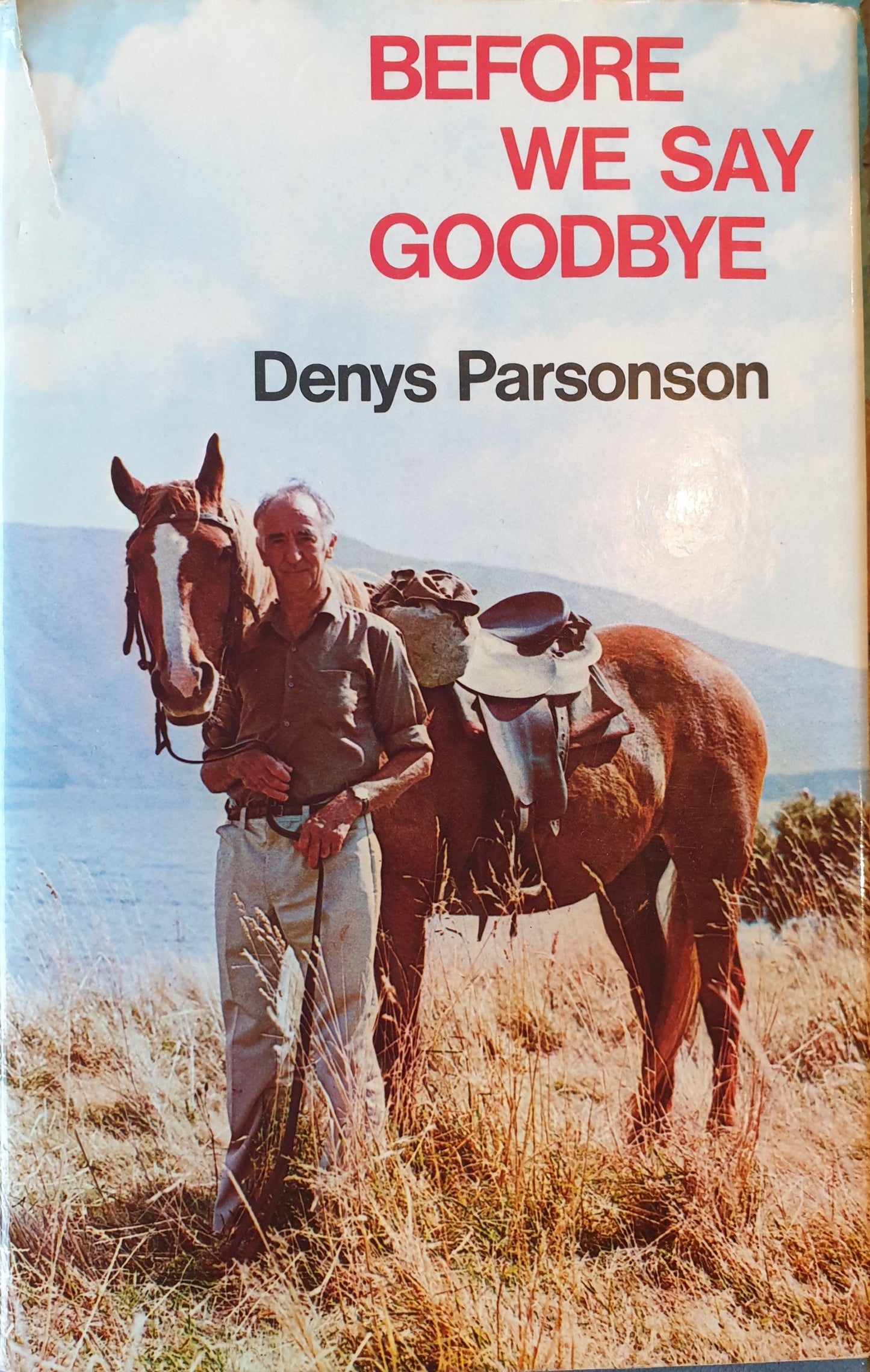 Before We Say Goodbye