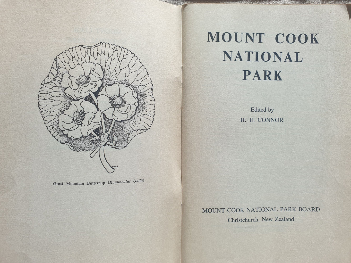 Mt Cook National Park