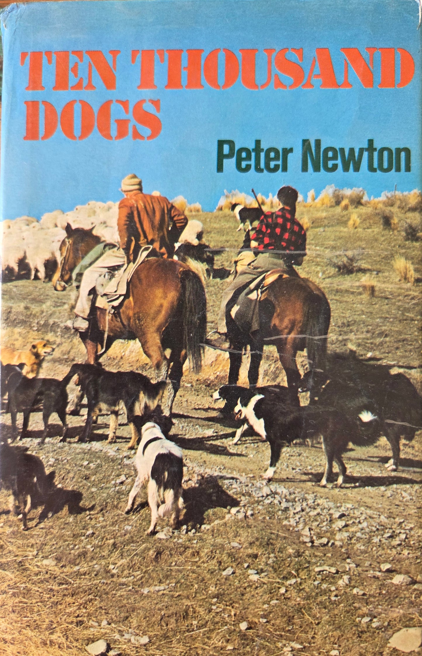 Ten Thousand Dogs