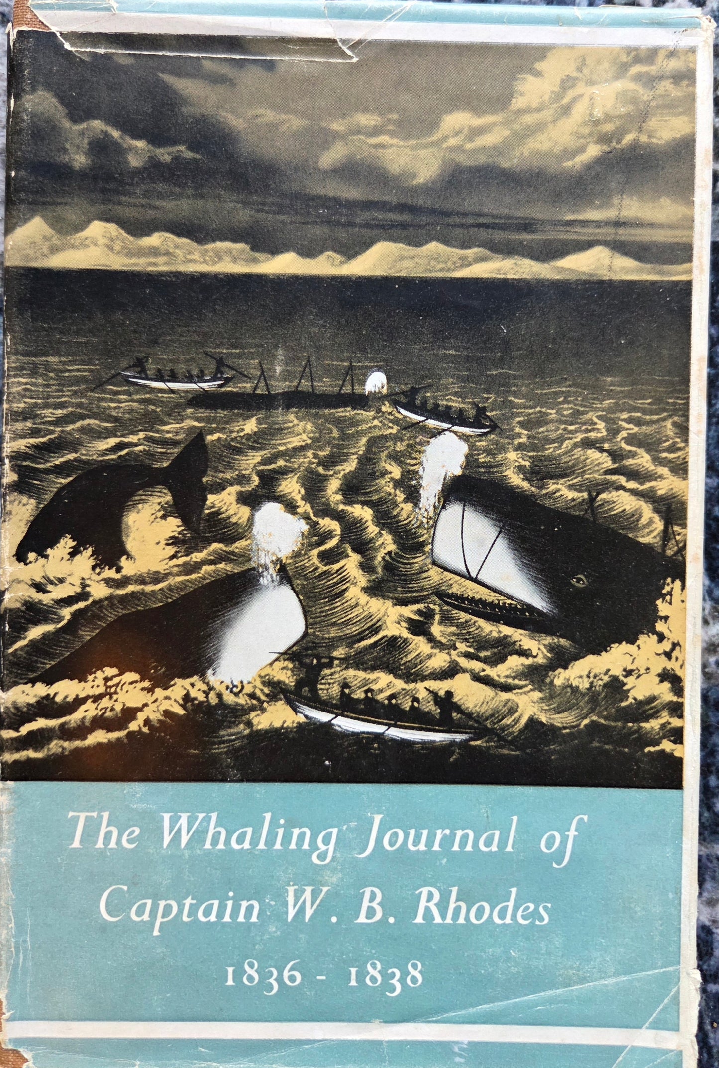 The Whaling Journal of Captain W B Rhodes