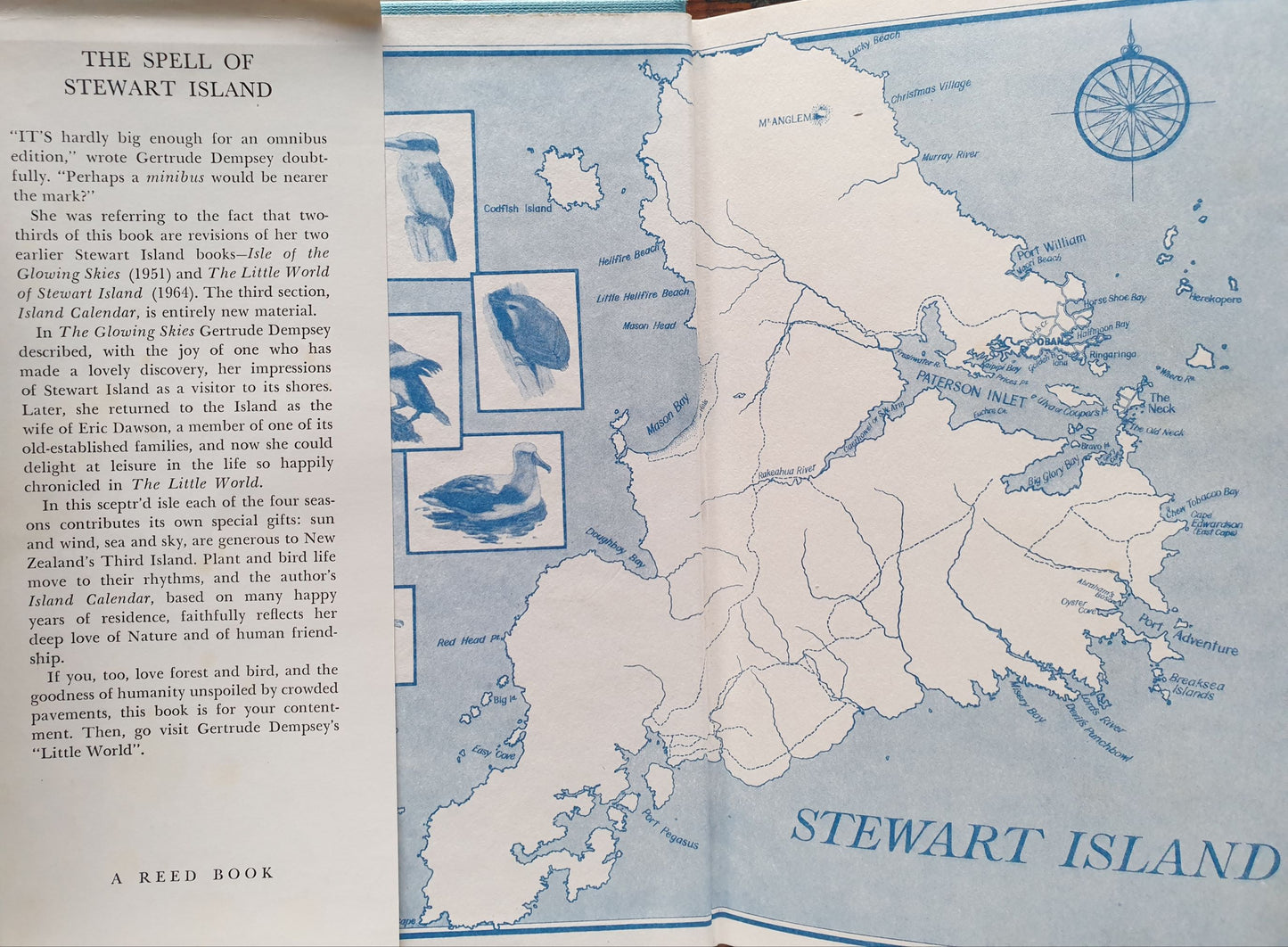 The Spell of Stewart Island