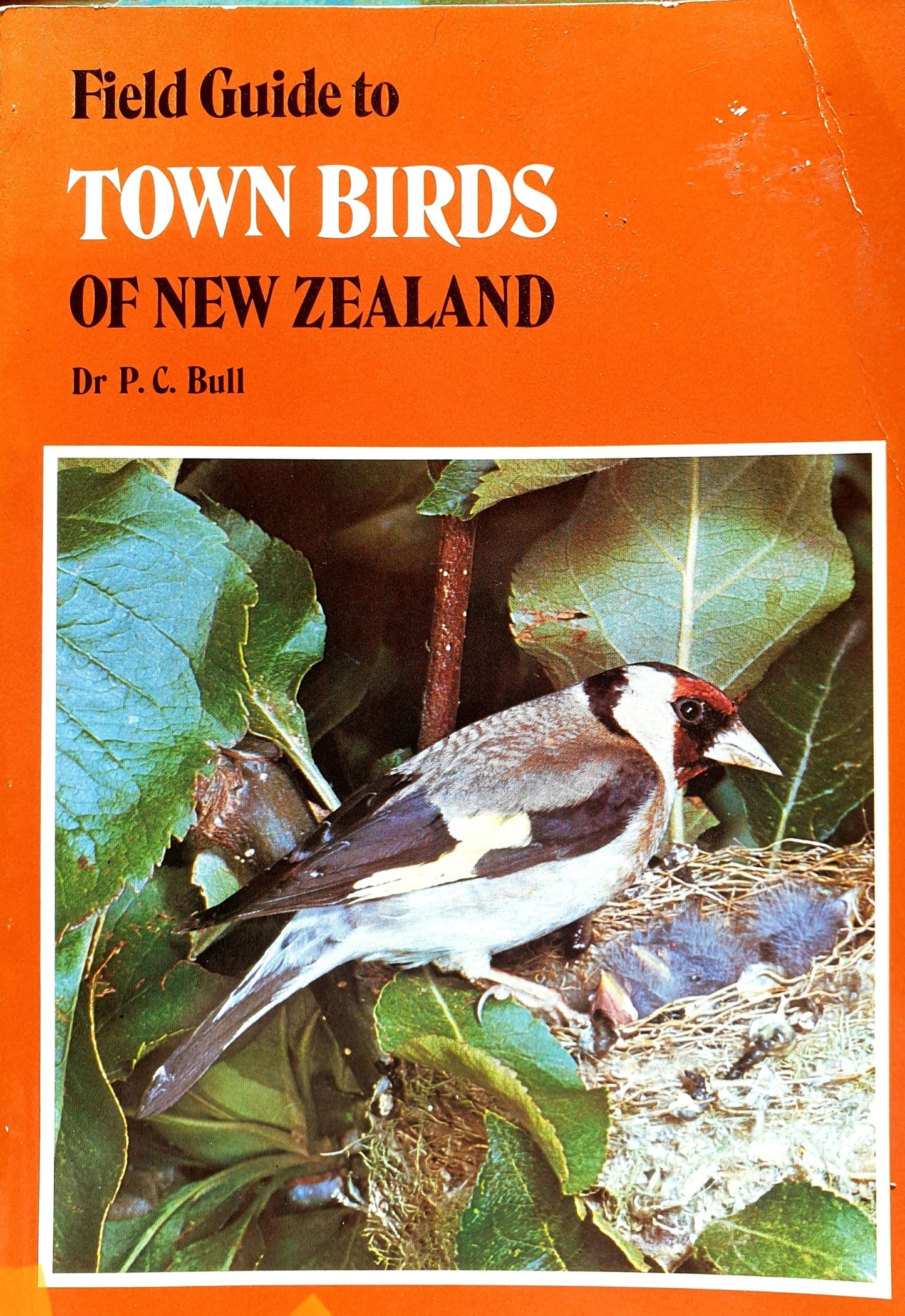 Field Guide To Town Birds of New Zealand