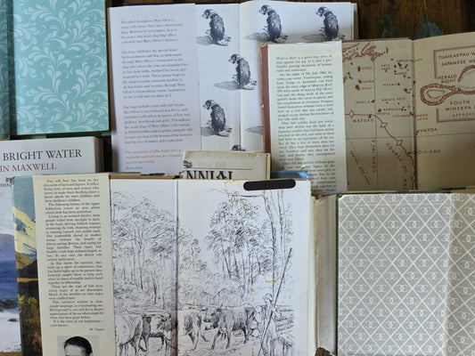 What Are Endpapers? The Beauty Inside a Book