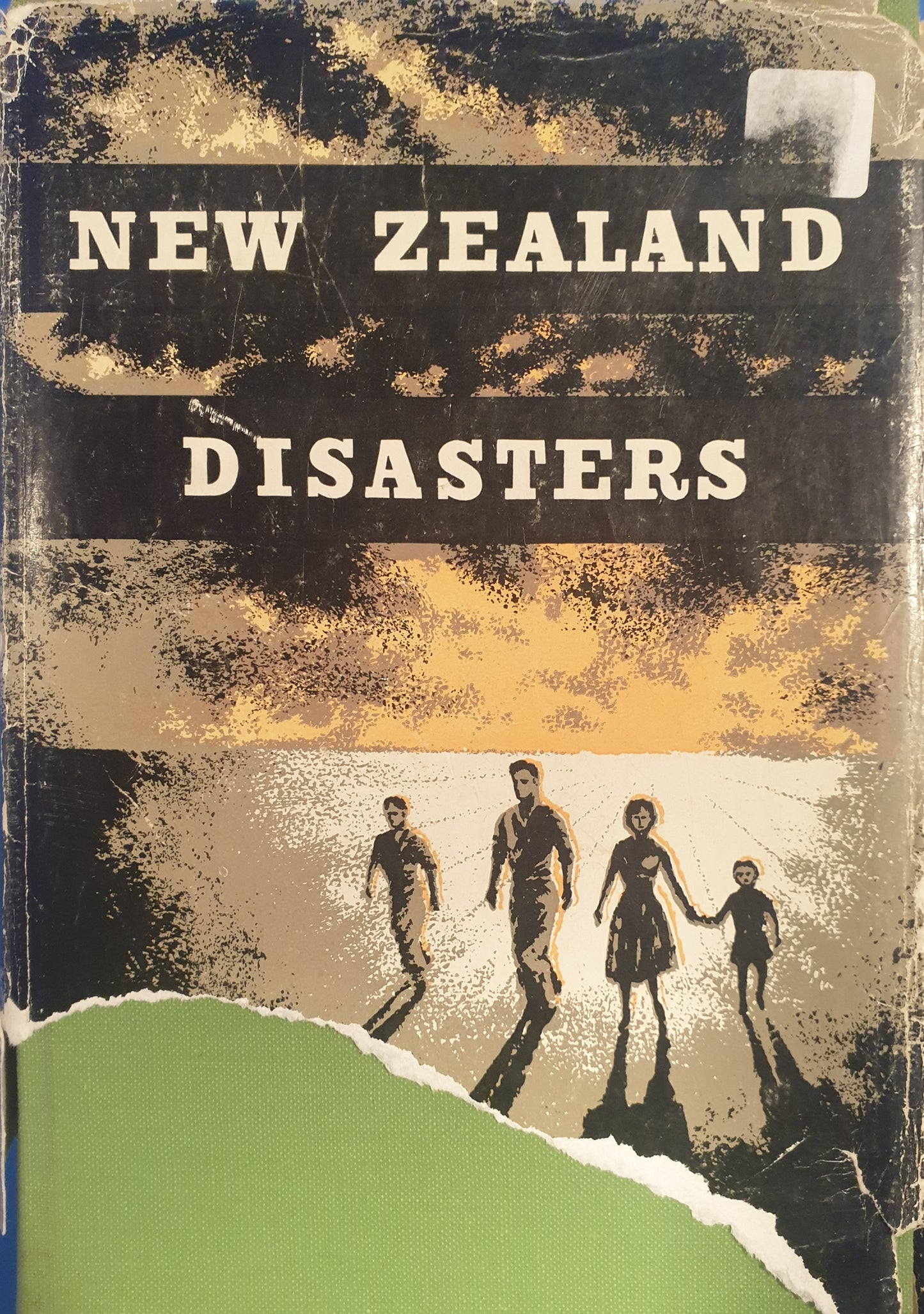New Zealand Disasters