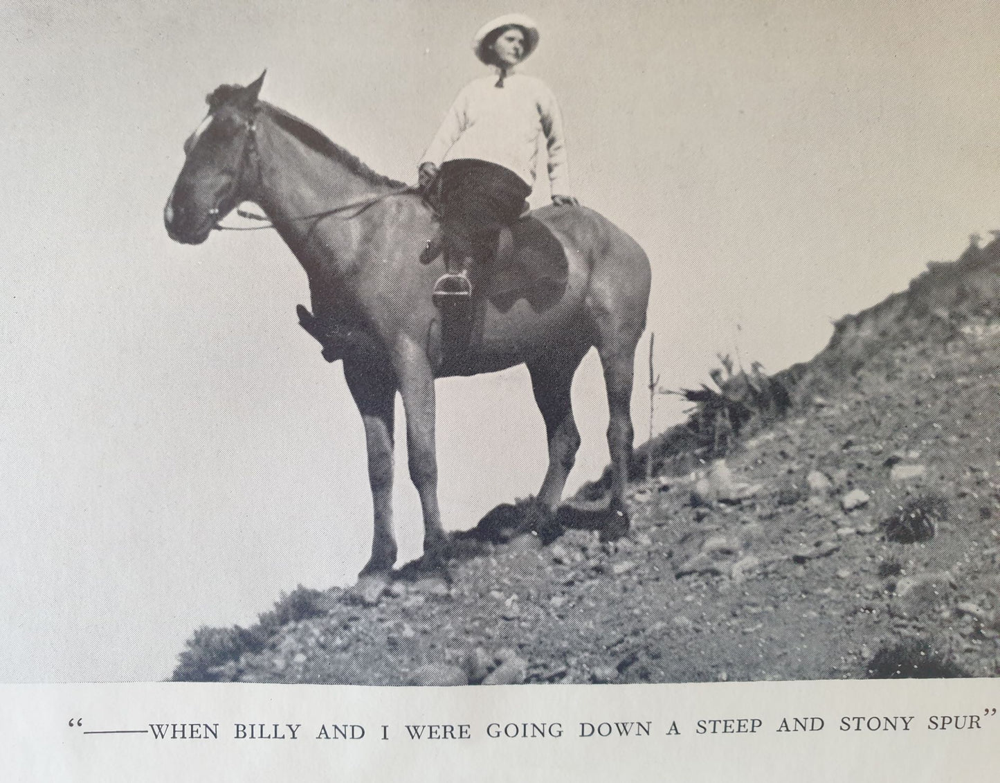 New Zealand - Land of My Choice