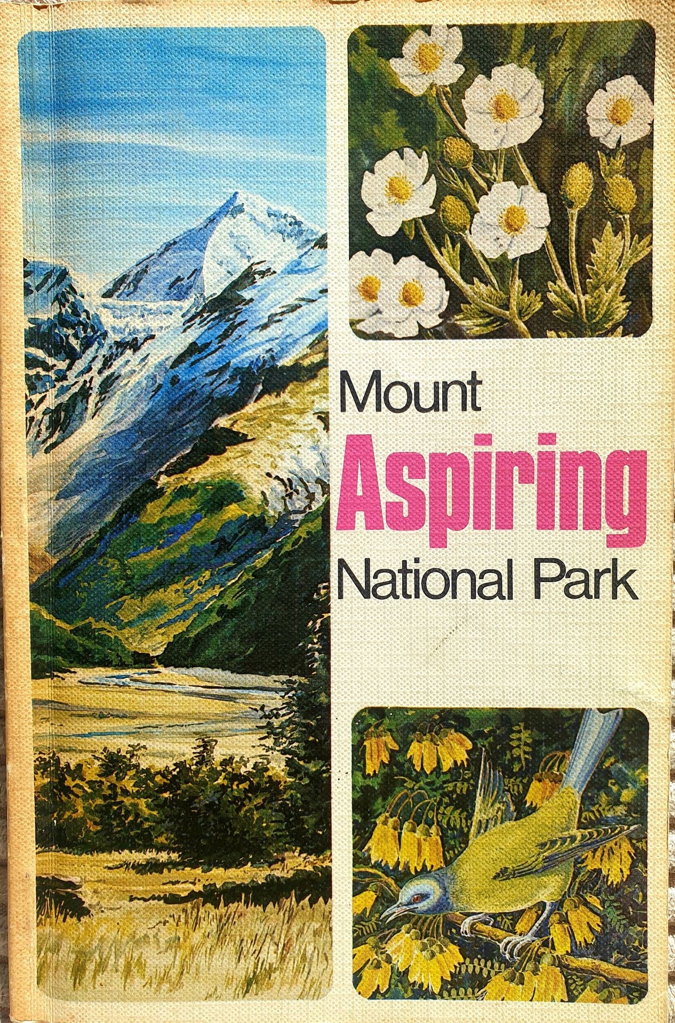 Handbook To The Mount Aspiring National Park