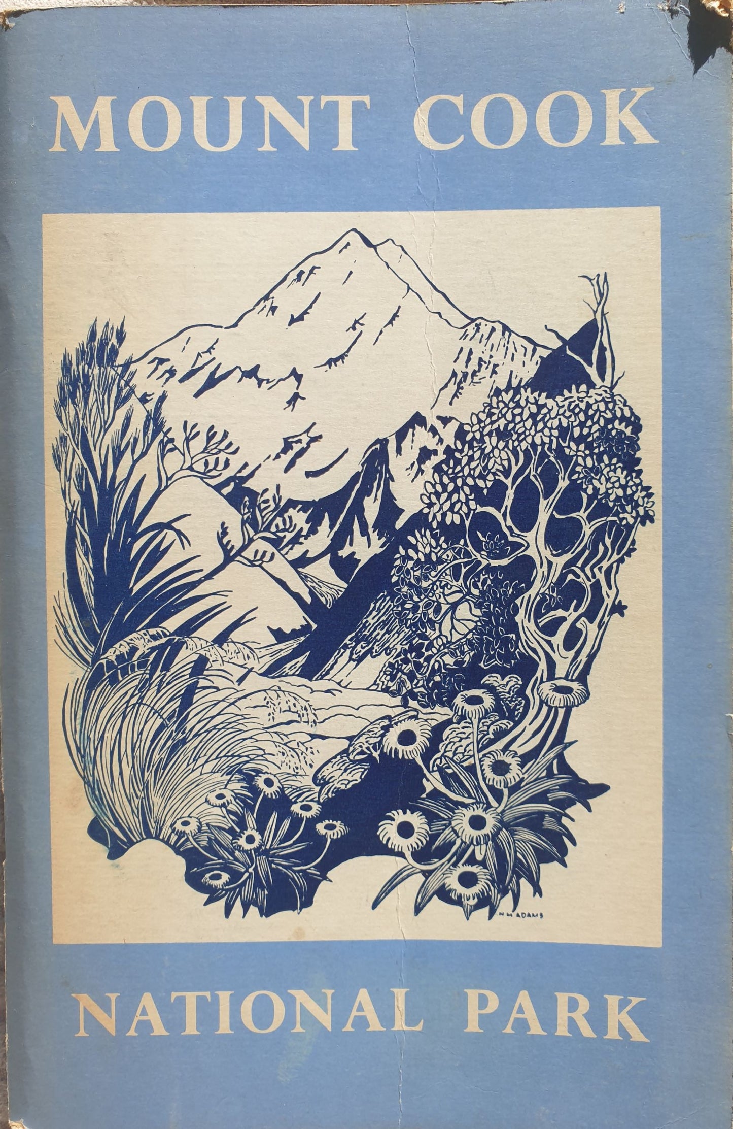 Mt Cook National Park