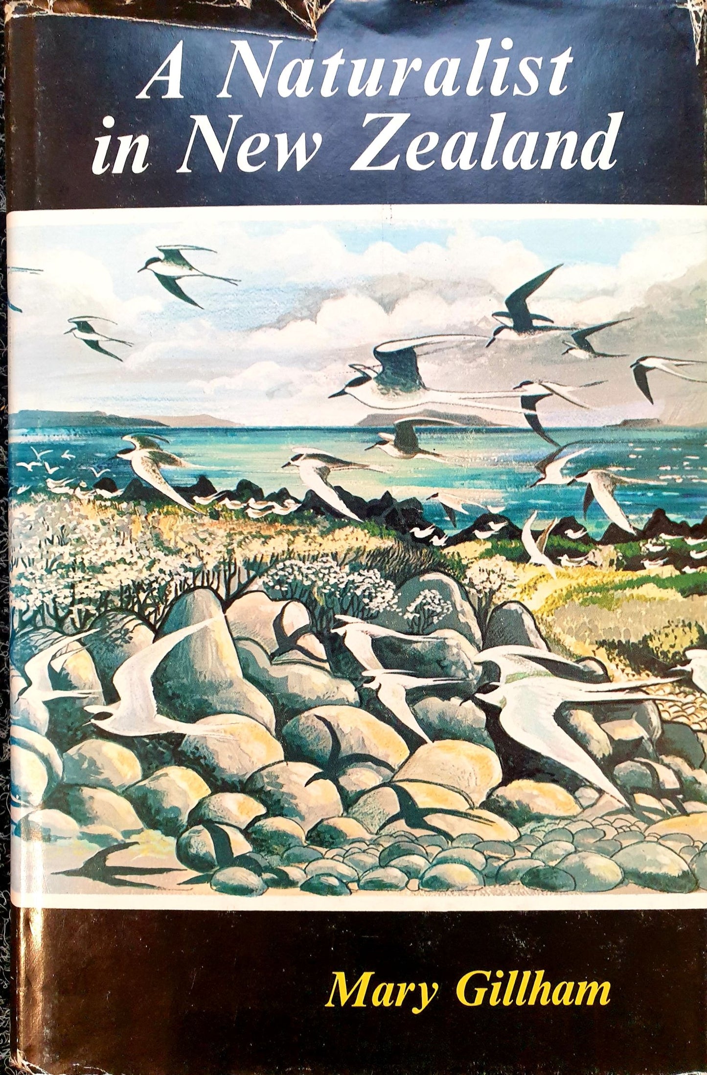 A Naturalist in New Zealand