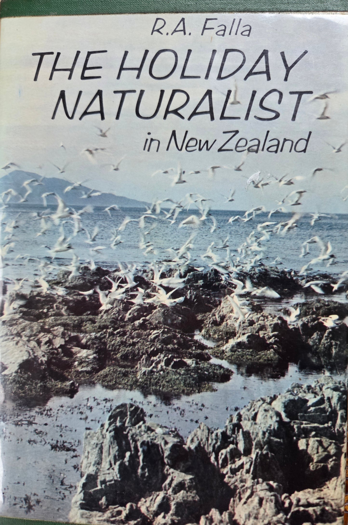 The Holiday Naturalist