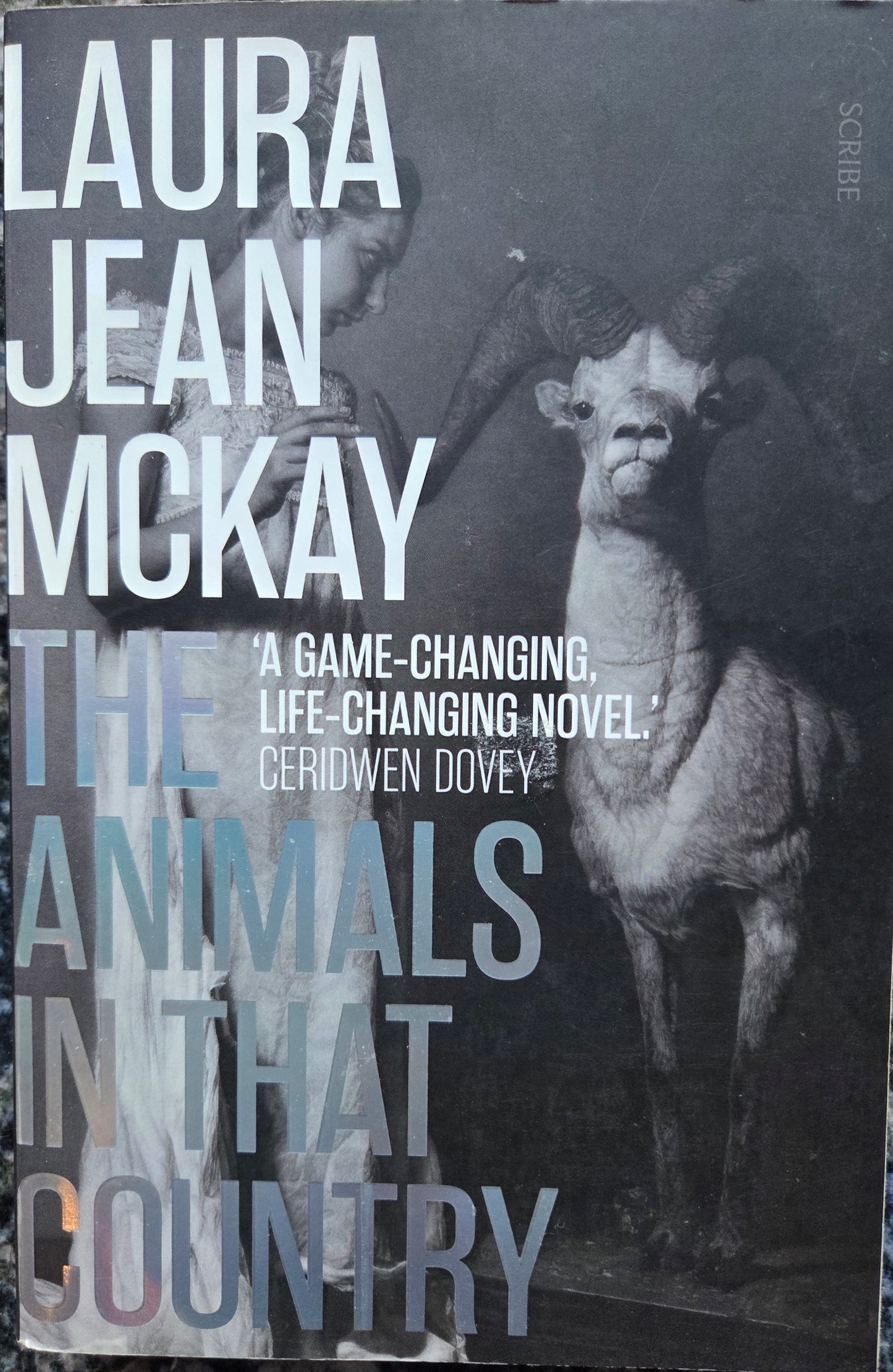 The Animals in That Country
