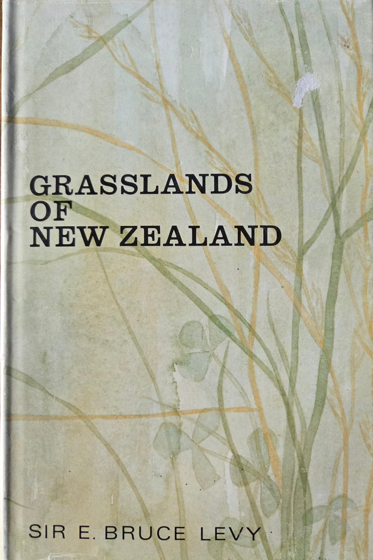 Grasslands of New Zealand
