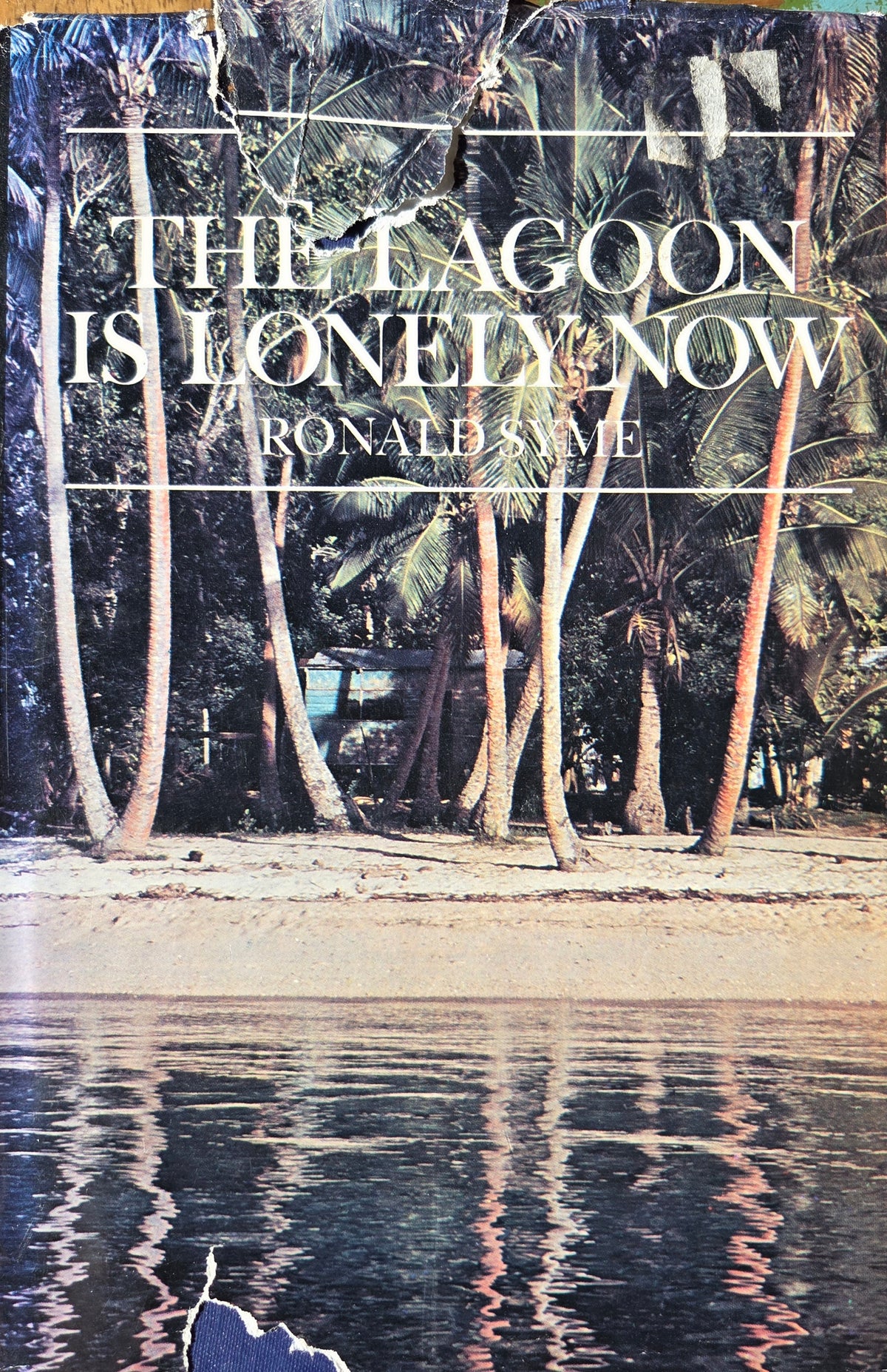 The Lagoon Is Lonely Now by Ronald Syme