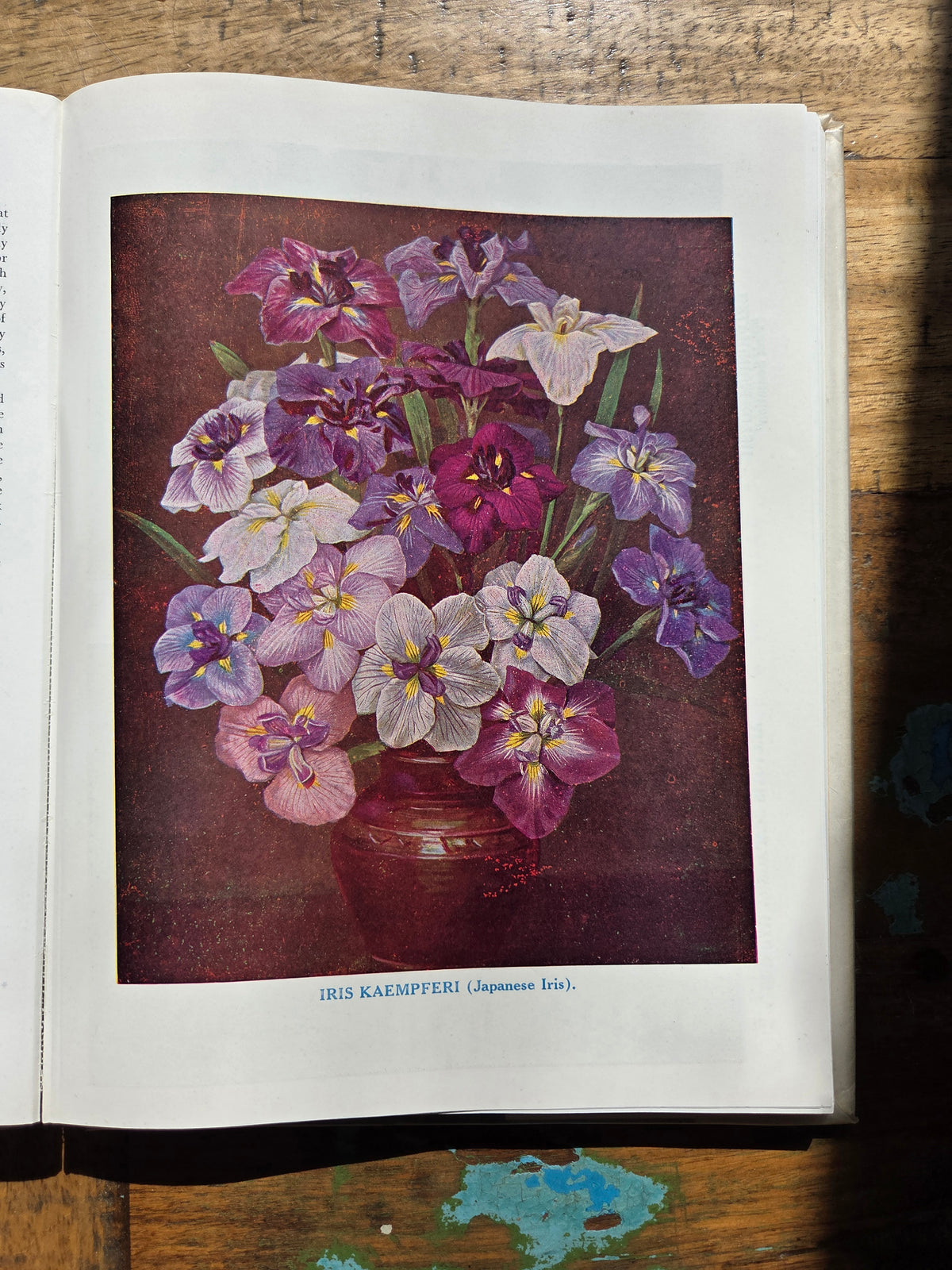 Handbook of Bulbs and Perennials
