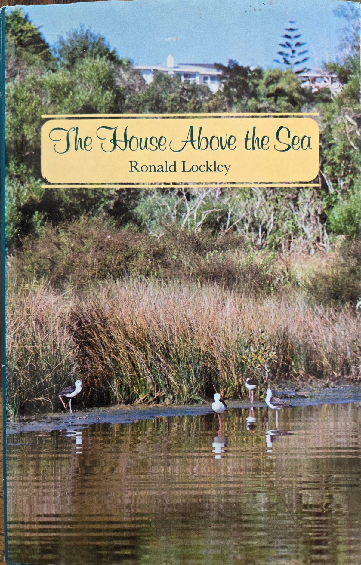 The House Above the Sea by Ronald Lockley