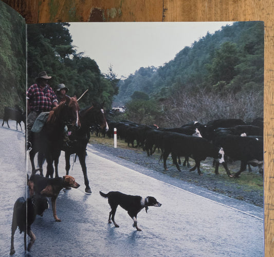 Highway 35 - Travels around East Cape
