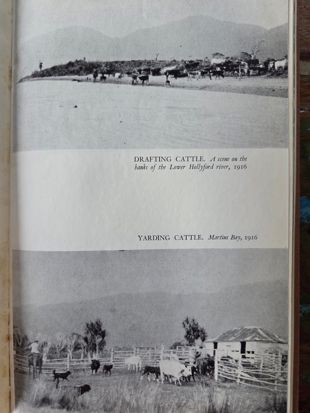 Pioneers of Martins Bay
