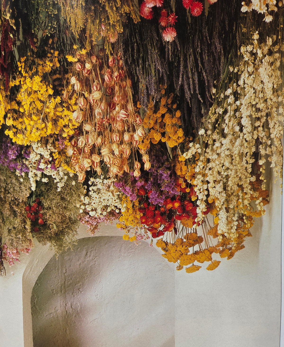 The Complete Book of Dried Flowers