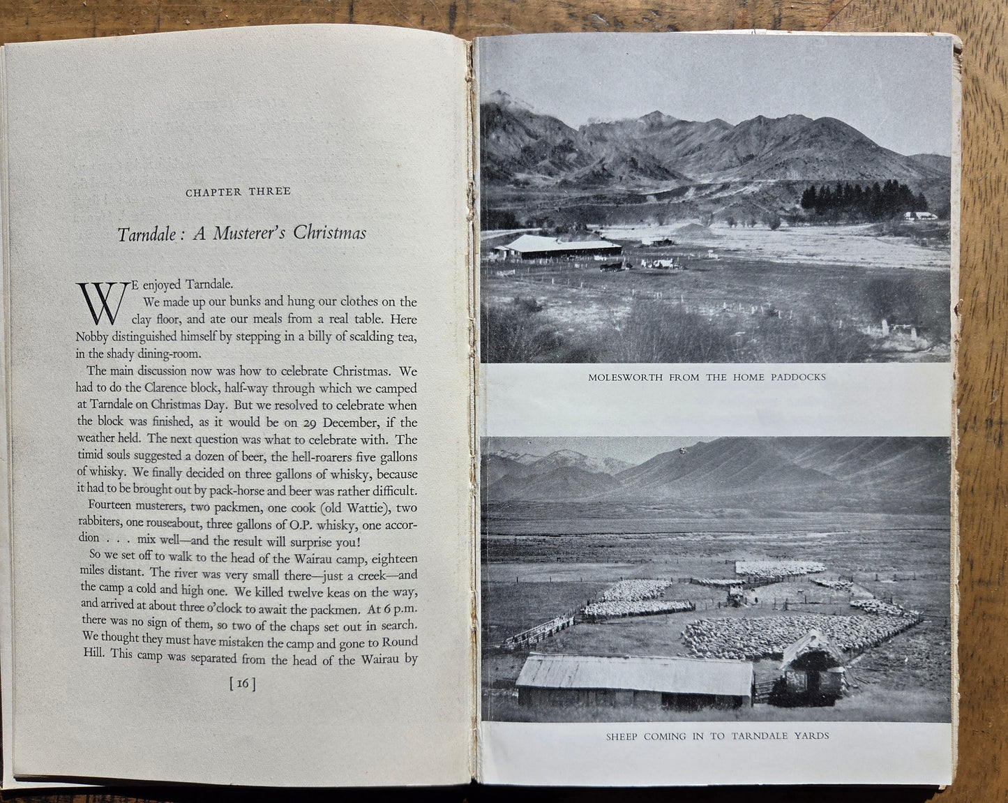 Musterer on Molesworth