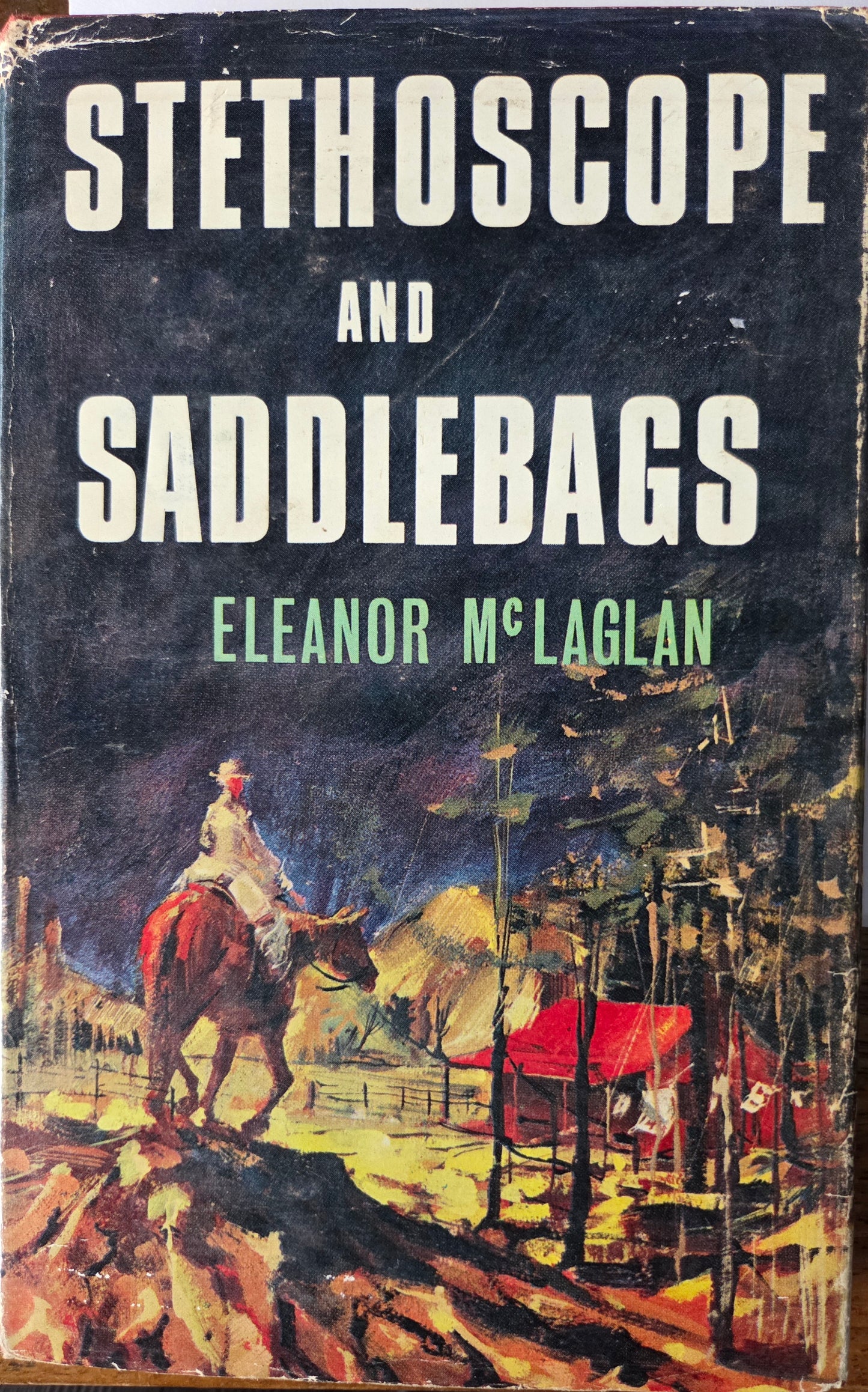 Stethoscope and Saddlebags