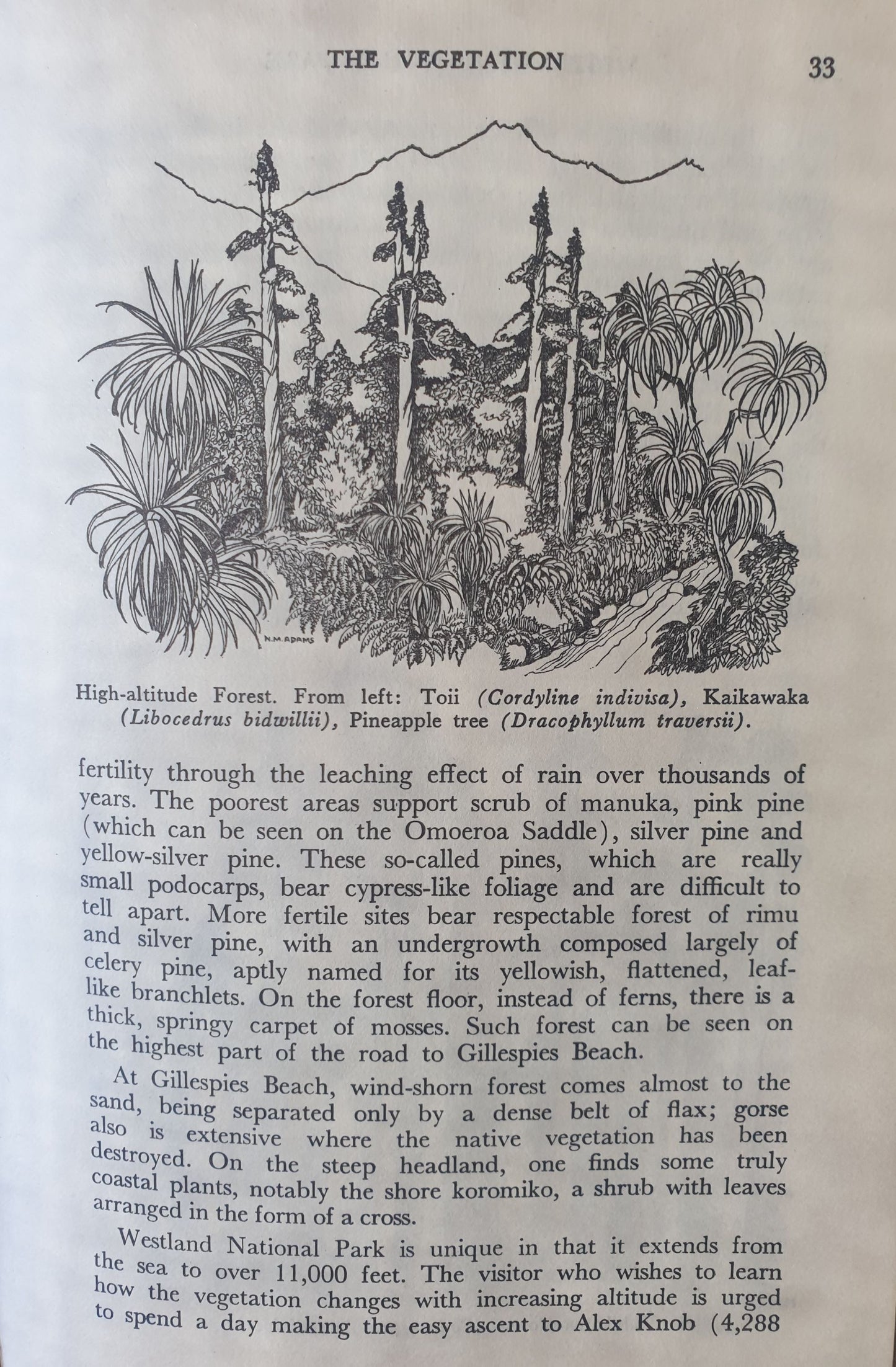 Westland National Park - Handbook 1966